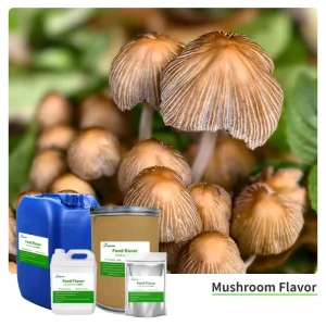 Mushroom Powder Flavor Food Grade Flavor Enhancer for Mushroom Coffee Plant Based Cooking Soups Sauces