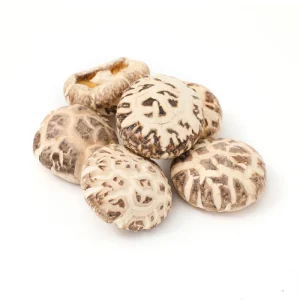 Mushrooms Factory Pure Natural Dried Shiitake Mushrooms Cultivated Dried Mushroom