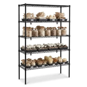 NSF Anti Corrosion Black Carbon Steel Mushroom Cultivation Shelving Multi Layer Metal Rack for Edible Mushroom Planting Factory