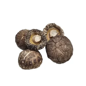 Natural Manufacturer Dried Flower Shiitake Mushroom Factory Healthy Dried Shiitake Mushroom Dry Mushroom Edible Fungi