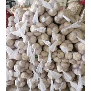 Natural Vegetables Fresh White Garlic Supplier 5cm Normal White Garlic 20kg Mesh Bag Red Garlic