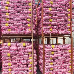 Natural White and Pure White Normal White Organic Fresh Garlic From China Export Worldwide