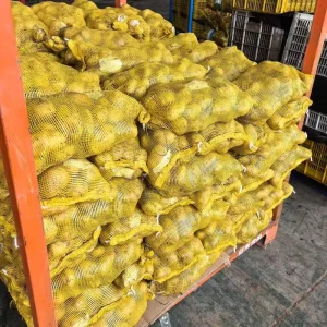 New Crop 100% Natural Fresh Potatoes 100g 150g 200g Fresh Potatoes Price Fresh Potatoes China Exporter Supplier