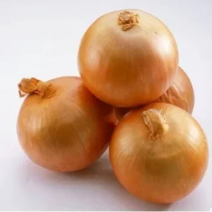 New Crop Chinese Fresh Yellow Onion and Red Onion Market Price Is Lowest