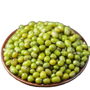 New Crop Chinese Sprouting Green Mung Bean Bulk