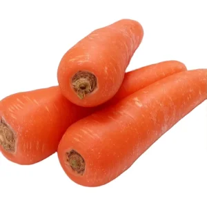 New Crop Fresh Carrot Factory Low Price Clean Washed Carrot