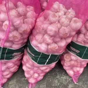 New Crop Fresh Garlic Ail Frais White Purple Garlic 5.5 cm Export Standard Fresh Garlic Supplier Vegetables Ajo Alho