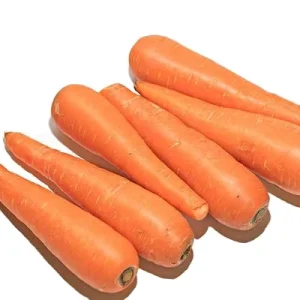 New Crop Fresh Organic Vegetables Carot carrot Seeds Price of Carrots