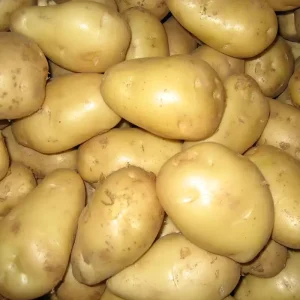New Crop Fresh Potatoes Egypt Fresh Potatoes Top Grade High Nutrition Certified White and Red Potatoes Supplier