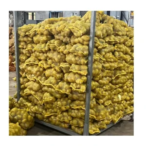 New Crop Fresh Potatoes High Quality 100g 150g 200g Yellow Fresh Potatoes Chinese Potato Import Price China Supplier