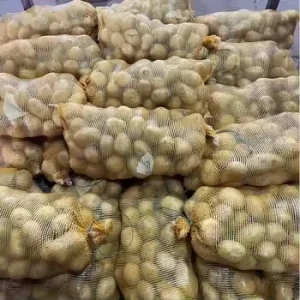 New Crop Fresh Raw Potato Plump Firm High Starch Farm Harvest Vegetable for Frying Baking Cooking