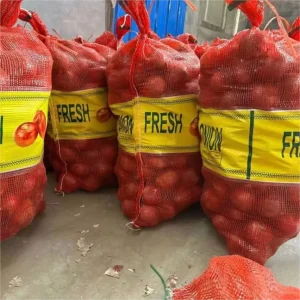 New Crop Fresh Red Onion for Export