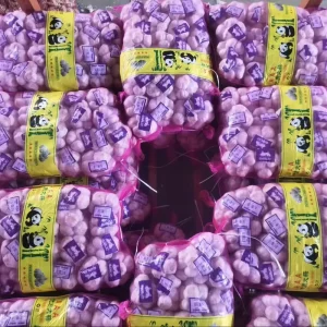 New Crop Fresh Vegetables China Price Supplier for Fresh Garlic Seeds Ail Frais Ajo Alho Garlic