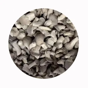 New Crop IQF Fresh Frozen Oyster Mushroom Cube