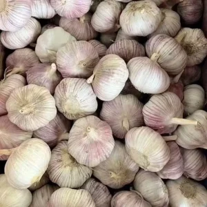 New Crop Normal White Garlic, China Manufacturer and Supplier, Direct from Shandong