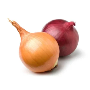 New Crop Red Yellow Onion Fresh Vegetables Fresh Onion Sale Fresh Onions