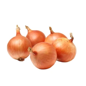 New Crop Shallot Fresh Onion Price Vegetable Purple Yellow Onions Exporter