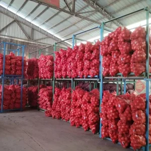 New Crop Shandong Top Quality Fresh Onion Supplier with Price