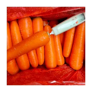 New Harvest Carrot Fresh Carrots High Quality S M L Red Yellow Fresh Carrot Exporter