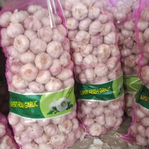 New-Harvest Fresh White Garlic, 10 kg Mesh Bag, 5.0 cm