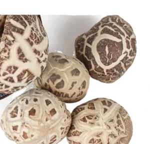 New Production Loose Dehydrated Edodes Fungus Edible Dried Whole Shiitake