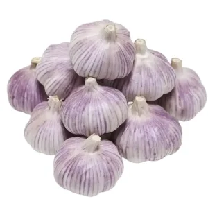 New Season White Garlic Fresh and Normal Available in Price of China