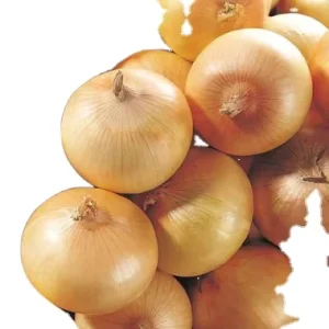 Newest Crop Factory Onion Price Per Ton Chinese Fresh Yellow Onions