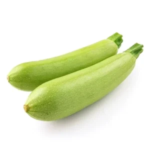 Newest Fresh Zucchini Chinese High Quality Zucchini