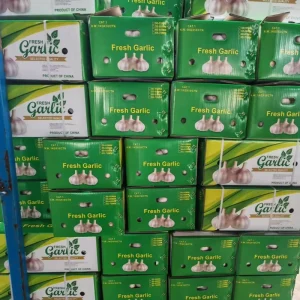 Normal Pure White Garlic Carton Package China Garlic Fresh Vegetables Ajo Ail Alho12 Months Shelf Life