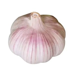 Normal White Fresh Garlic 20 KG Mesh Bag Chinese Fresh Vegetables With Price