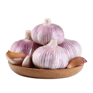 Normal White Garlic Chinese Fresh Vegetables 3P 4P 5P 6P 7P Bag 10KG Carton From WOHUA Supplier