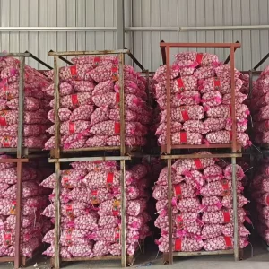 Normal White Pure White Fresh White Garlic China Garlic Fresh Vegetables Price Garlic Supplier