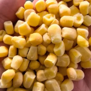 OEM Custom Pack IQF Frozen Sweet Corn Kernels 10kg Vacuum Pack Private Label