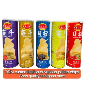 OEM Customized Fried Salty Canned Potato Chips 110g 160g From China Manufacturers Exotic Snacks