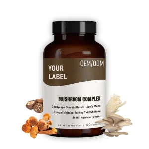 OEM Mushroom Supplement 10 Mushrooms Blend For Adults Support Memory And Focus Mushroom Complex Capsules