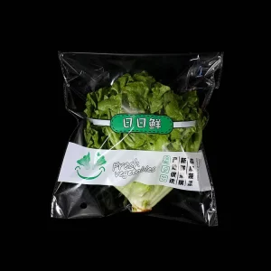 OPP Vegetable Packaging Bags Self adhesive Self sealing Bags Transparent Fresh Vegetable Preservation Bags Anti fog with Holes