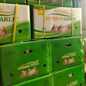 Optimum China Garlic Fresh Vegetable Bulk Garlic Garlic Price Fresh White Garlic