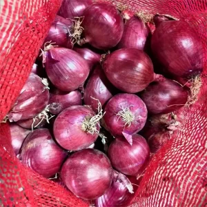Optimum New Crop Good Quality Fresh Red Onion Quantity and Price for Red Onion Factory
