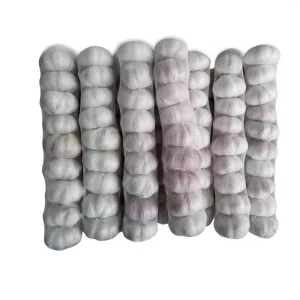 Optimum Pure Normal White Garlic Shandong China Mesh Bag Carton Top Grade Fresh Garlic