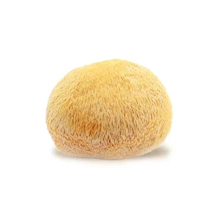 Organic Dried Lion’s Mane Mushrooms Whole or Sliced for Cooking Hericium Erinaceus Medicinal Mushrooms