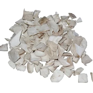 Organic Freeze-Dried Mushroom Flakes FD Drying Process for Soup Dried Edible Fungi