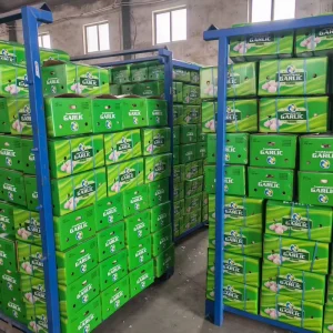 Organic Fresh White Garlic 4.5 6.0cm China Shandong EU Standard Customized Packing Manufacturer
