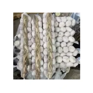 Organic Garlic Braid in Bulk Fresh New Organic Garlic Cultivation
