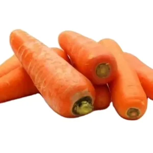 Organic Planting Fresh Vegetables Carrot garlic Seeds Price of Carrots garlic