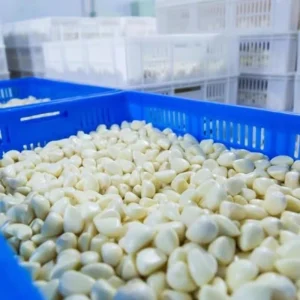 Organic Solo Garlic China Supplier Fresh Peeled White Garlic Premium Vegetable Products