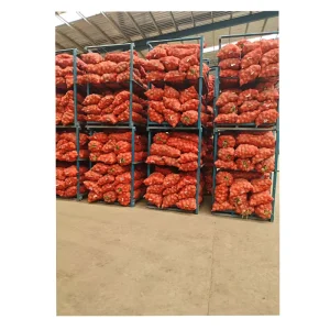 Origin Supplier of Best Quality Fresh Vegetables Delicious Fresh Red Onion at Market Price