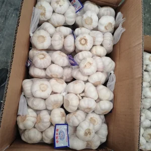 Peeled Garlic 1KG 10KG 20KG Mesh Bag Ajo Loosely Garlic Hdpe Alho Mesh Bag Garlic For Vegetables