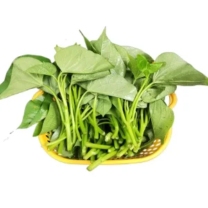 Premium Fresh Allspice Leaves in Powder Form Raw Vegetable 1kg Green Bencao Yutang for Food Processing and Seasoning