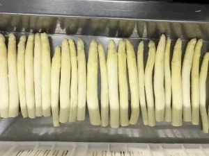 Premium High quality 100 % Fresh Frozen Vegetable LQF Whole White Asparagus