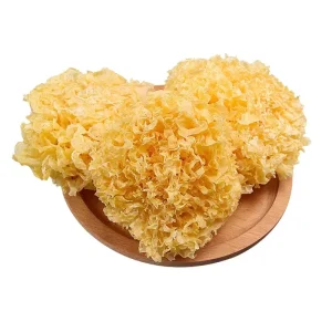 Premium White Snow Fungus High Quality Dried White Tremella Mushroom Nutritious Edible Fungus for